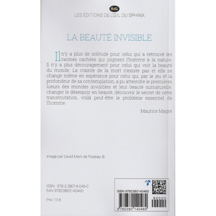 La Beauté Invisible
